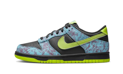 Nike Dunk Low Acid Wash Nike