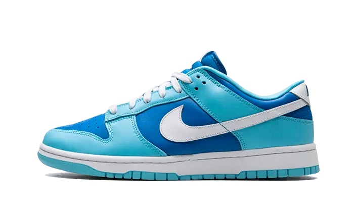 Nike Dunk Low Argon VOSneakers
