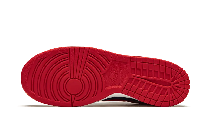 Nike Dunk Low Samba 2020 Nike