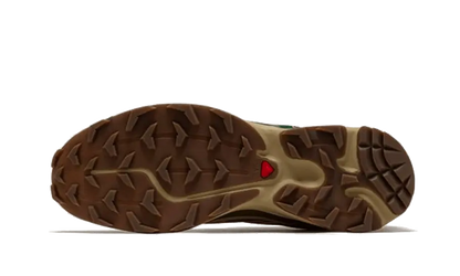 Salomon XT-6 Rubber Lizard Salomon